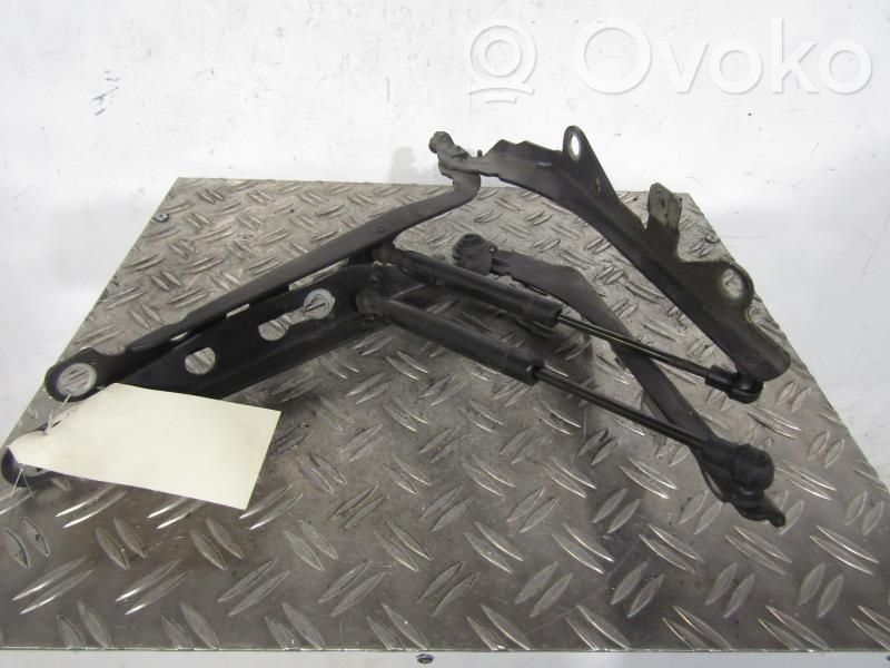 Bisagras del capó/tapa del motor   30716744