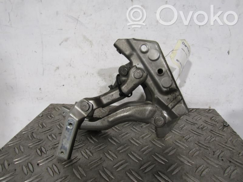 Mercedes-Benz B W245 Cerniere del vano motore/cofano