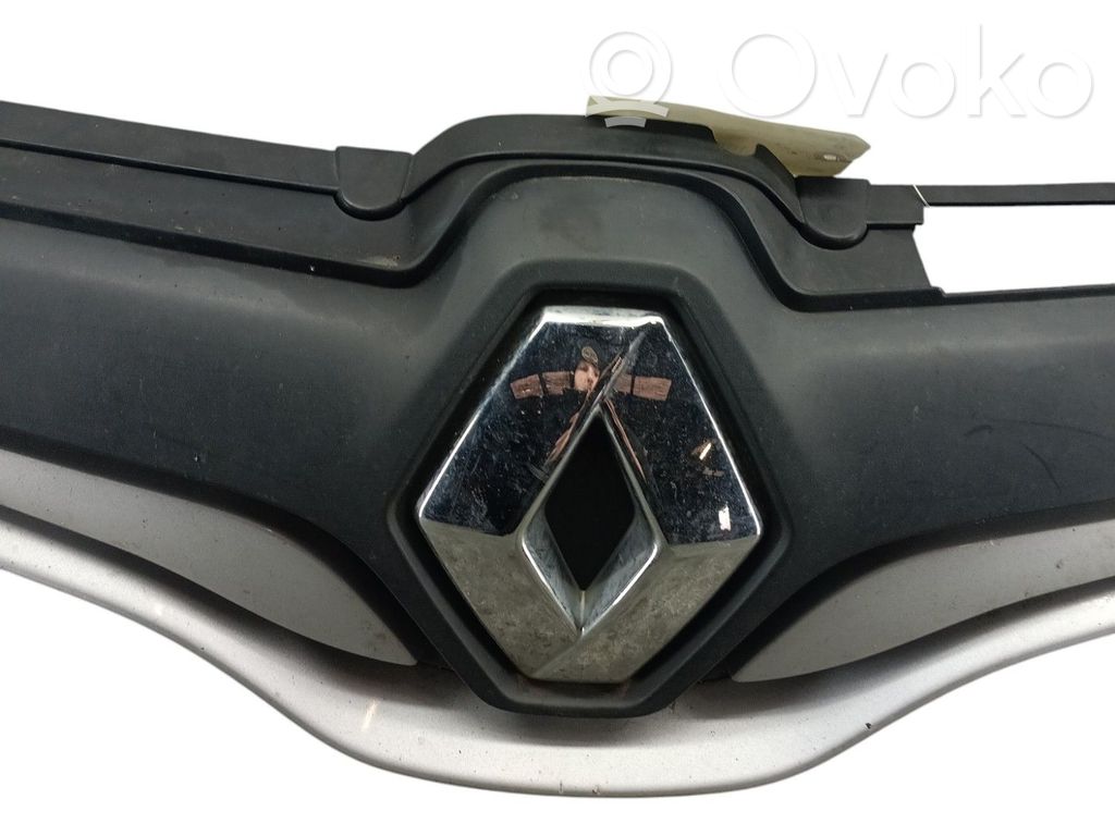 Kühlergrill   623829911R