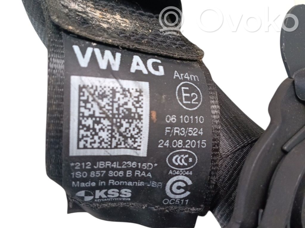 Centură spate   1S0857806BRAA