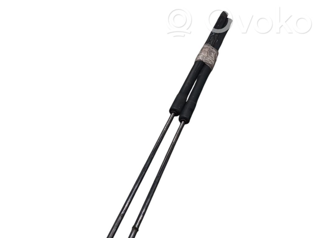 Ford C-MAX II Tailgate/trunk strut/damper 