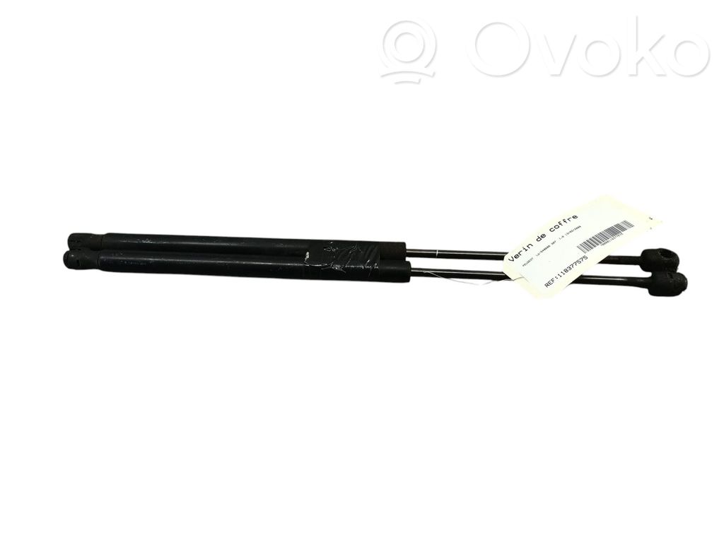 Tailgate/trunk strut/damper   8731F8