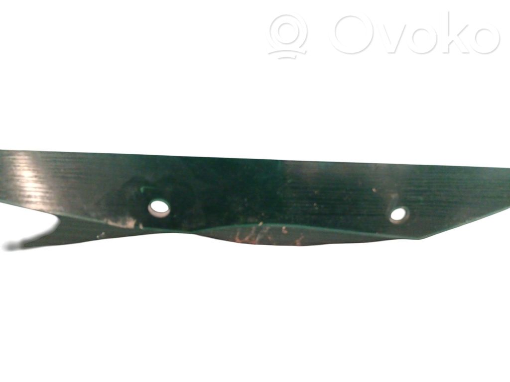 Luna de la puerta trasera   9687045680