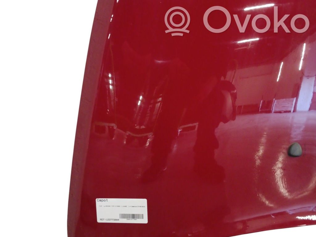 Fiat Tipo Motorhaube 