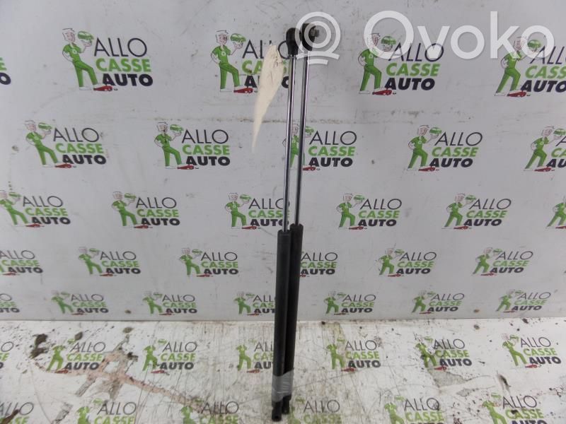 Tailgate/trunk strut/damper   00008731G6