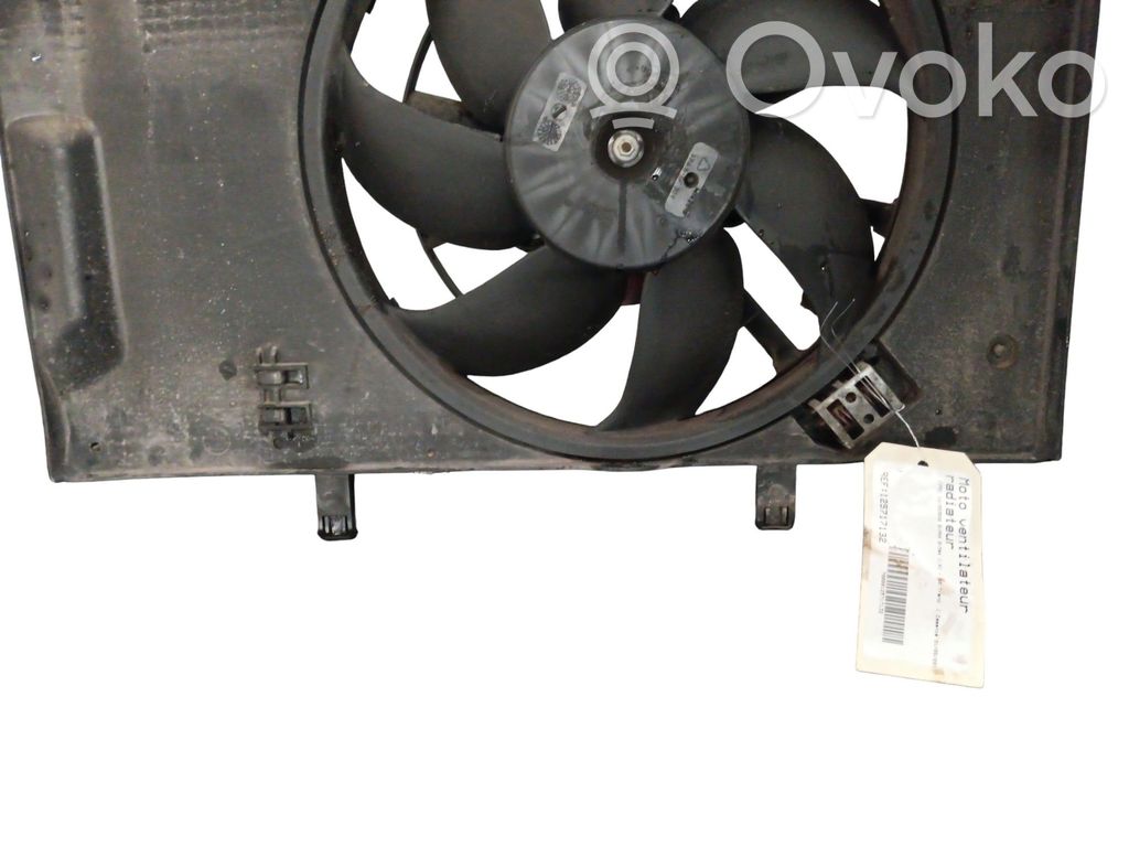 Elektrinis radiatorių ventiliatorius   2145091