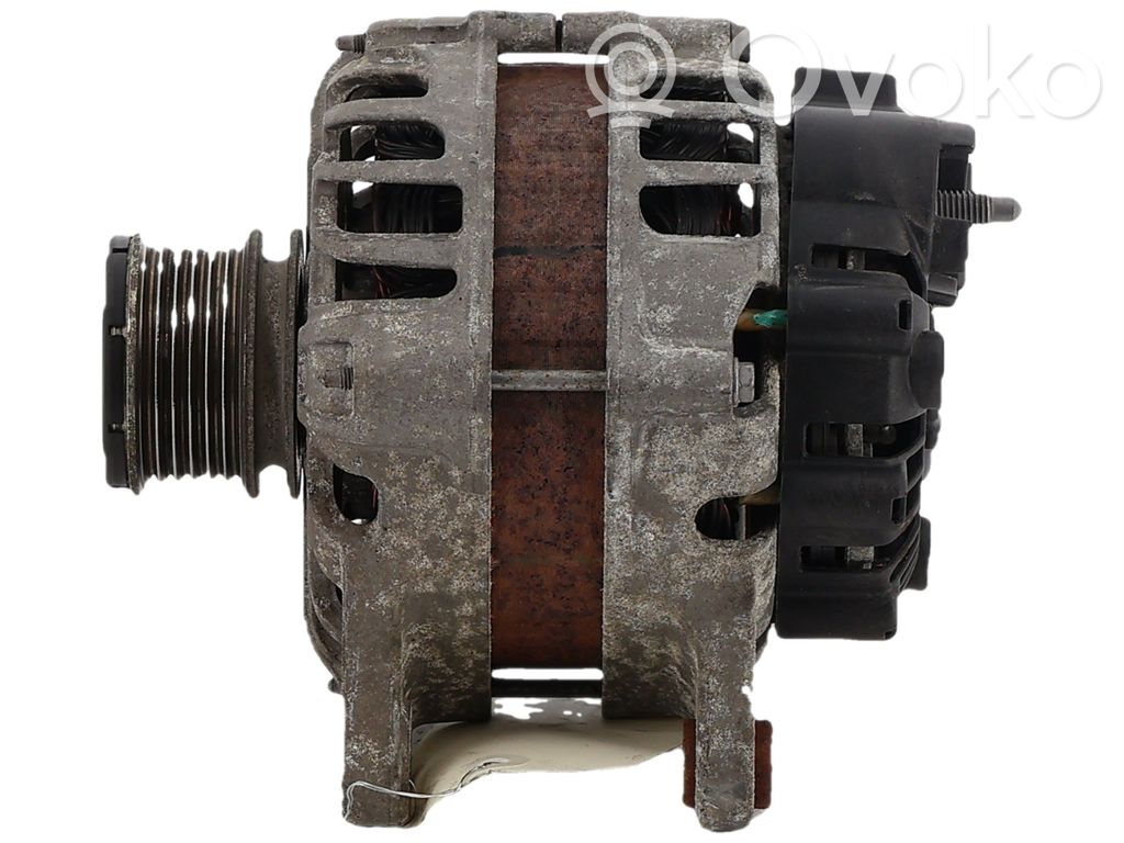 Generator/alternator   231008918R