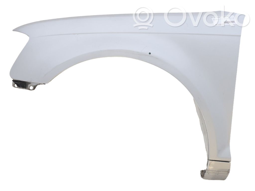Guardabarro   8P0821105G