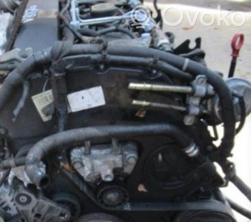 Jaguar X-Type Motor 