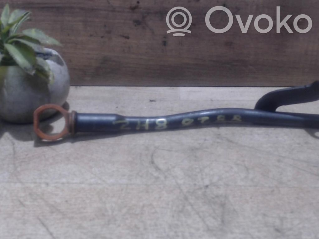 Oil level dip stick