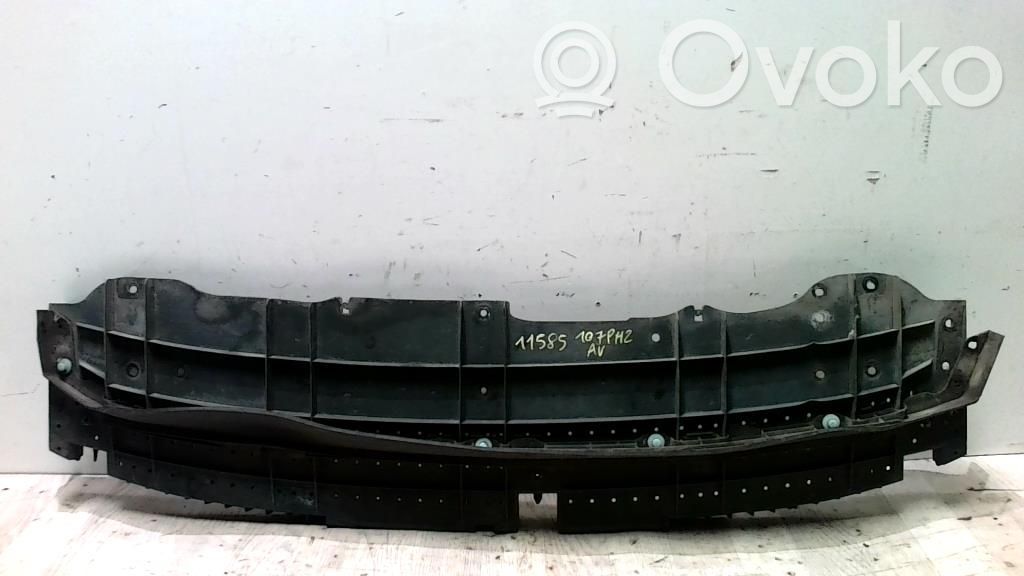 Peugeot 107 Placa protectora/protector antisalpicaduras motor 