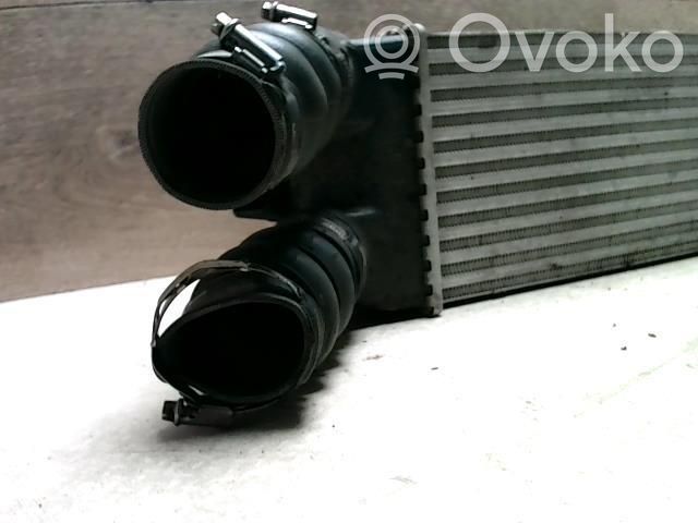 Citroen Xsara Picasso Radiatore intercooler