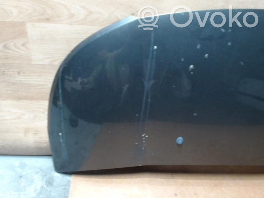 Motorhaube   7901Q7,7901Q7