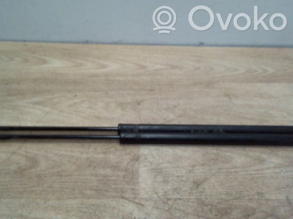 Tailgate/trunk strut/damper