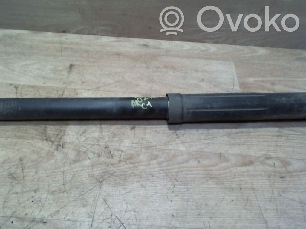 Citroen C1 Amortizor spate 