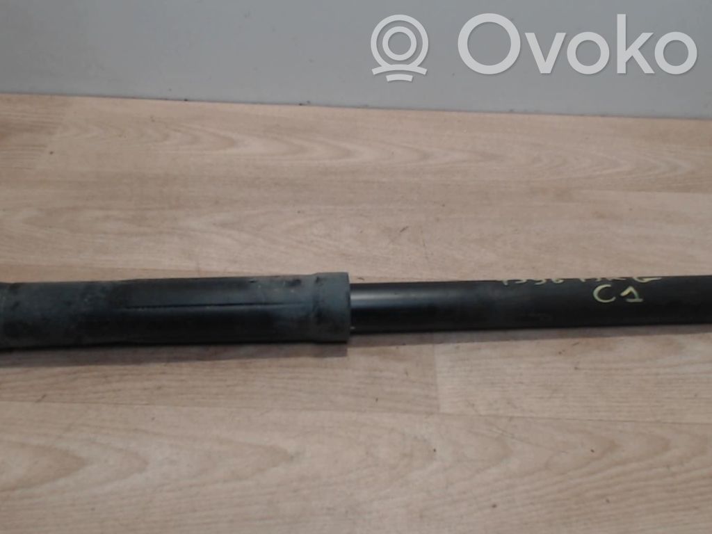 Citroen C1 Amortizor spate 