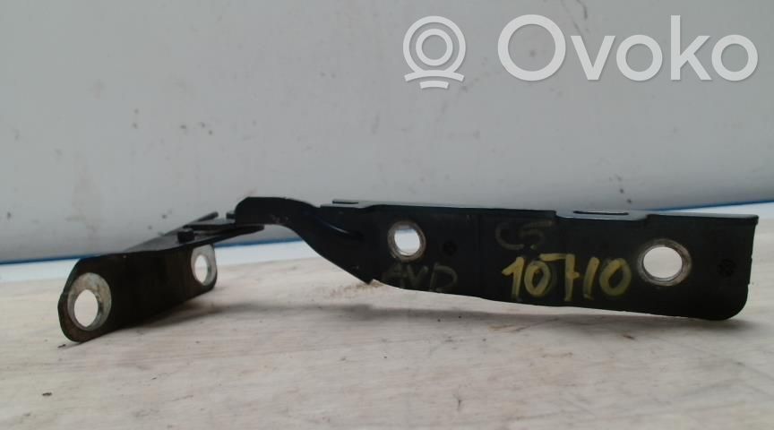 Balamale capotă   00007912C5,00007912C5