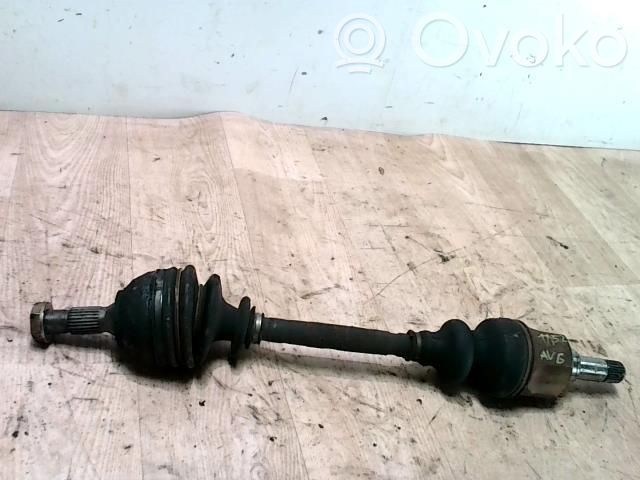 Albero di trasmissione (set)