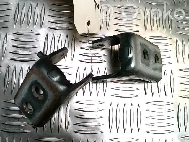 Citroen C4 II Picasso Set balamale ușă față 