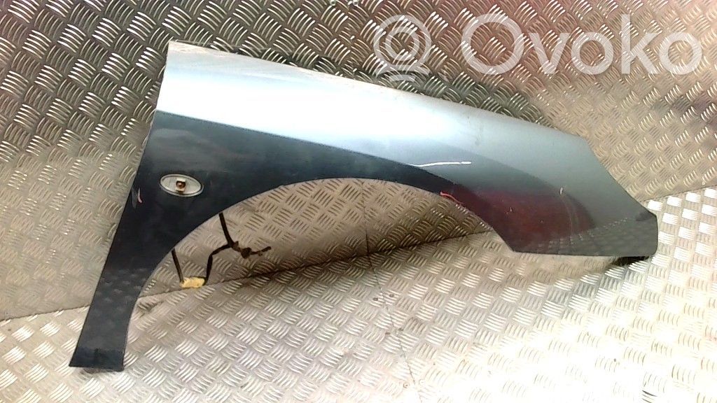 Guardabarro   1698810201,1698810201