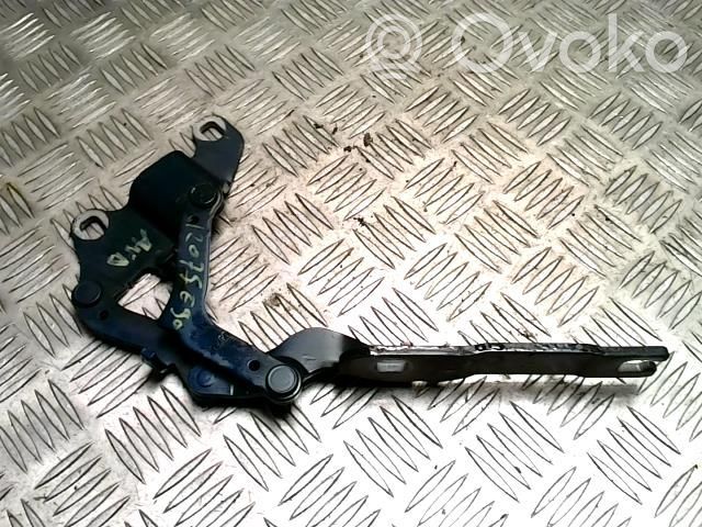 Cerniere del vano motore/cofano   41617210677,41617210677