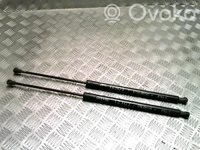 Citroen C3 Picasso Ammortizzatore portellone posteriore/bagagliaio