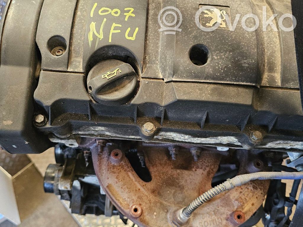 Peugeot 1007 Motor 