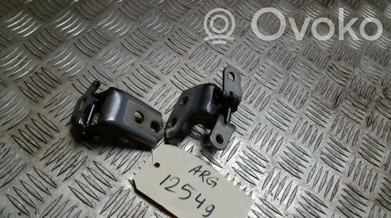 Renault Clio V Front door hinge set 