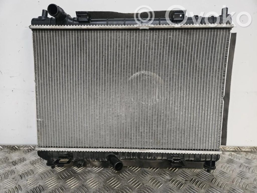 Coolant radiator   AE818005AB