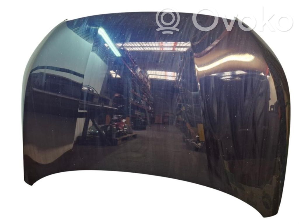 Motorhaube   SINREF