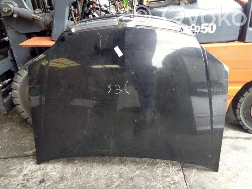 Vano motore/cofano
