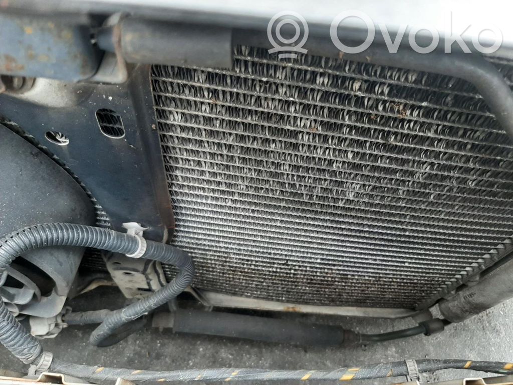 Lexus RX III Aušinimo skysčio radiatorius 