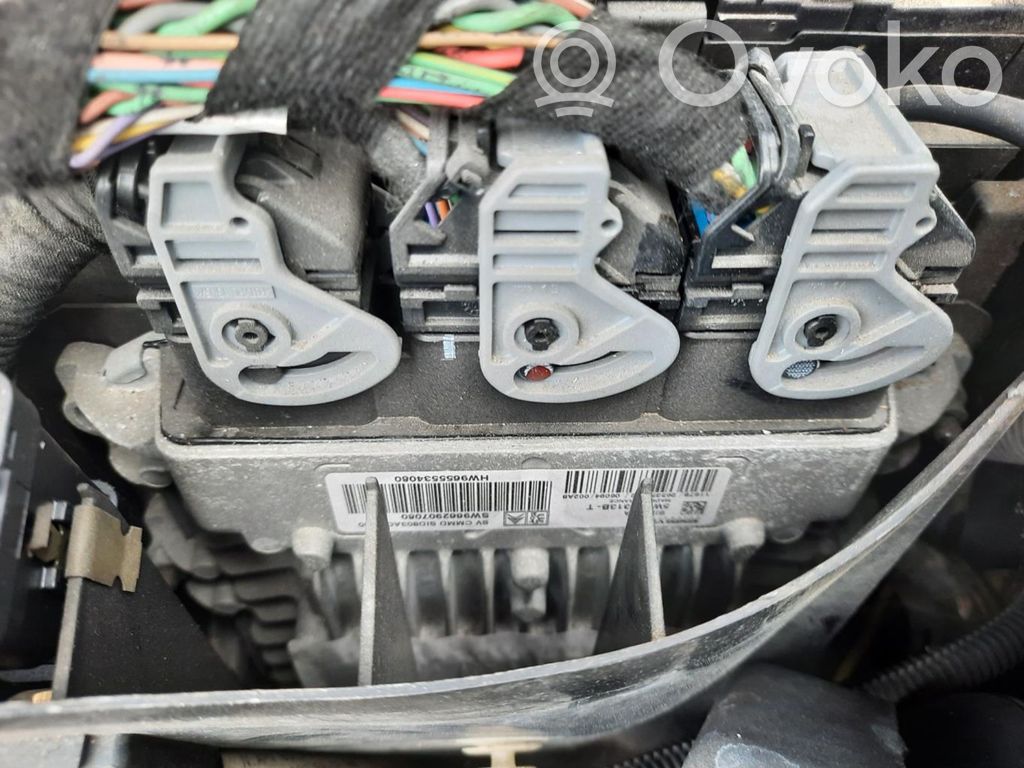 Engine control unit/module ECU   5WS40313BT