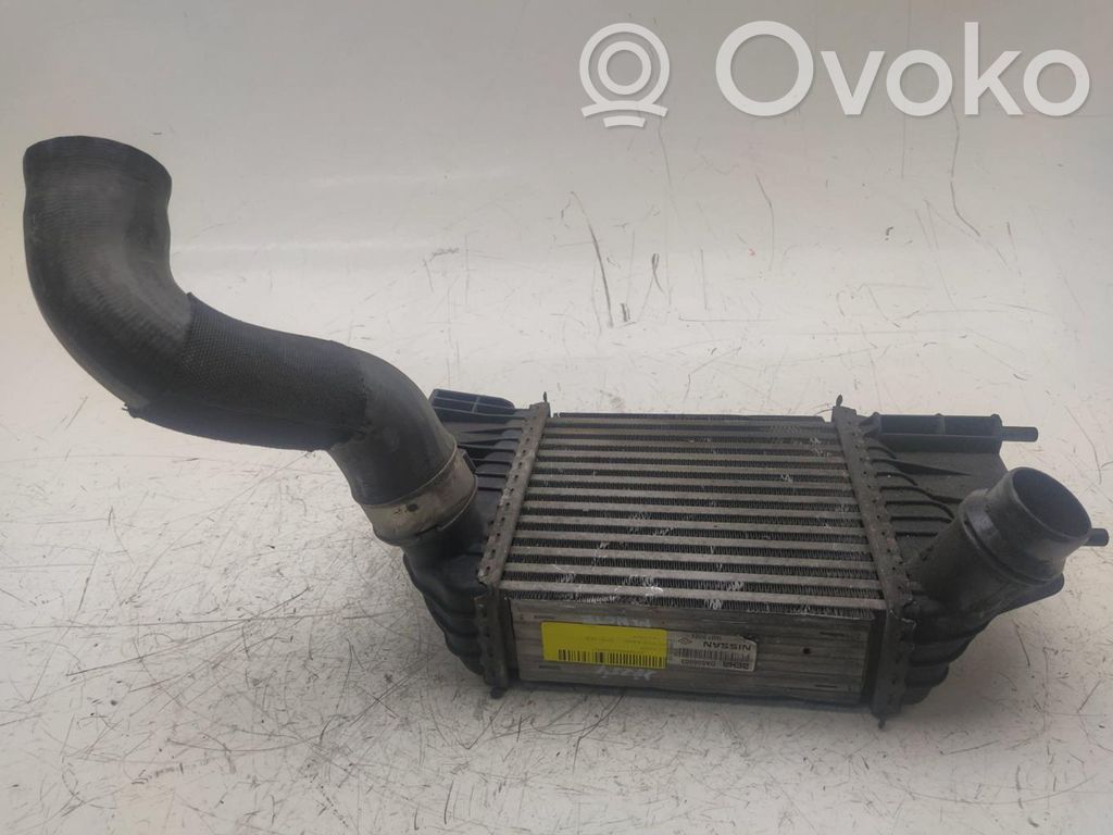 Radiador intercooler   144613VD0A