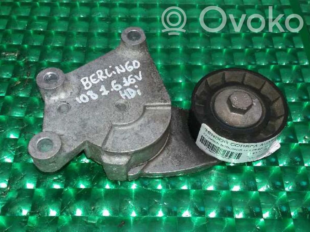 Întinzător curea generator/alternator   TF129B