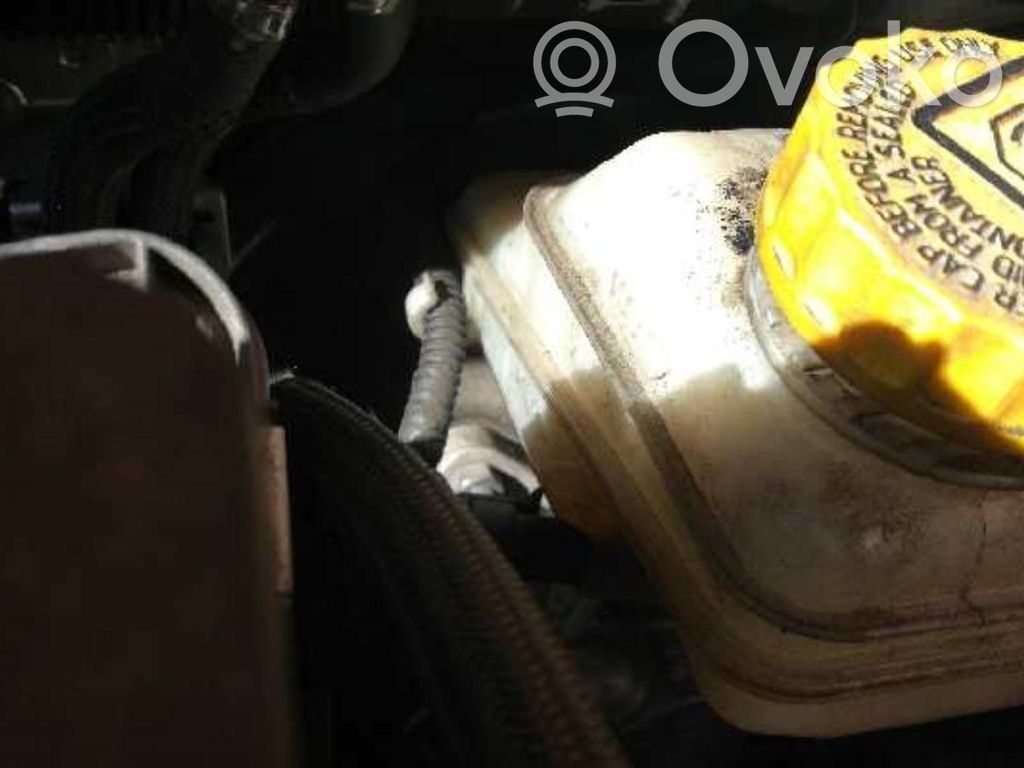 Servofreno   0204054307