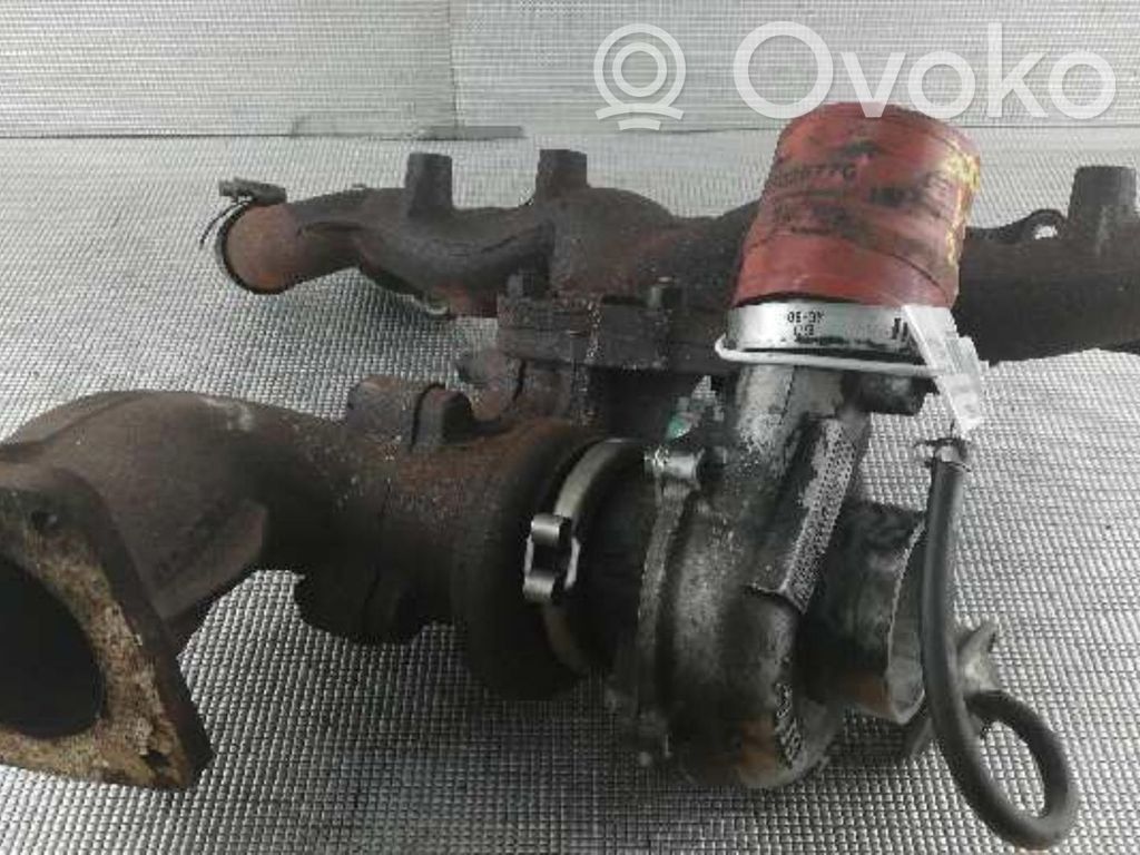 Turbo   NH445141