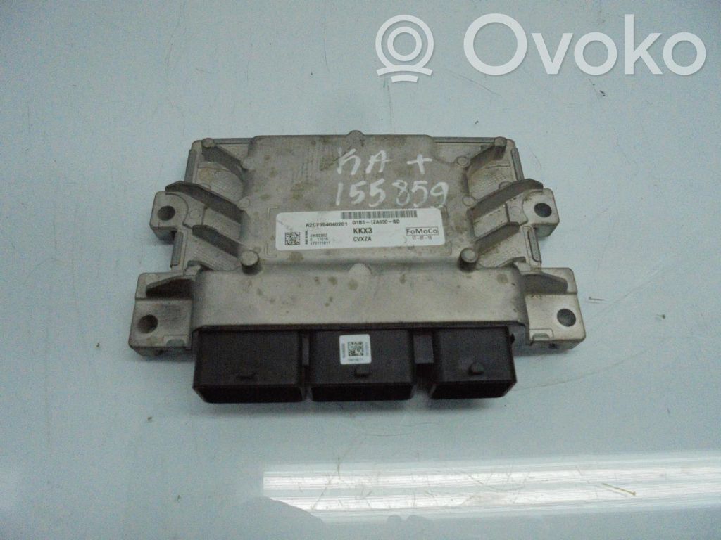 Engine control unit/module ECU   2033392