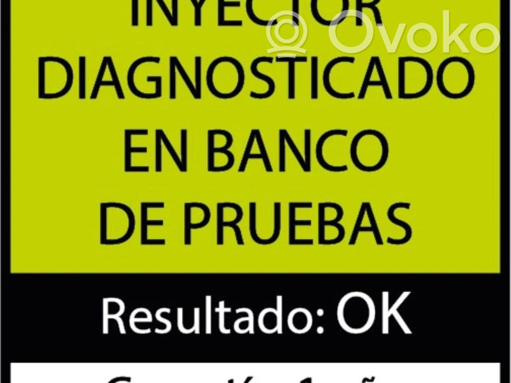 Inyector de combustible   001012K07928