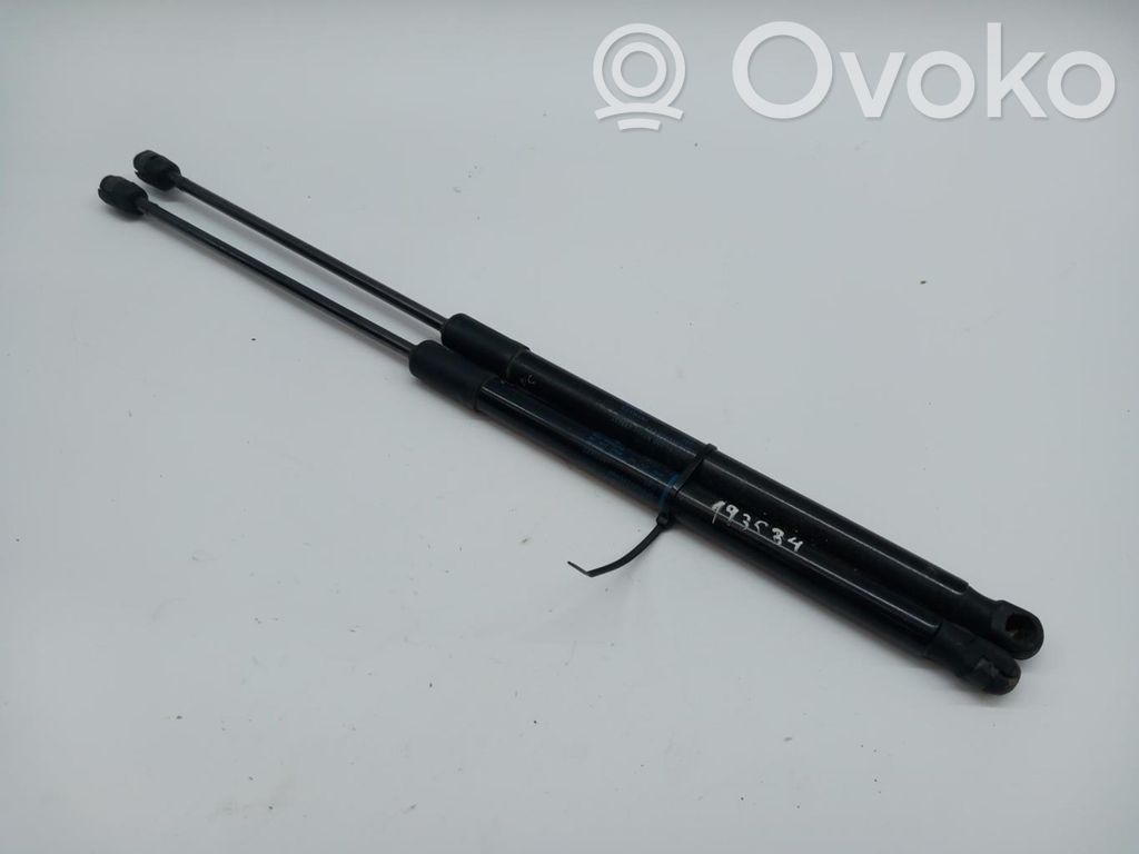 Tailgate/trunk strut/damper
