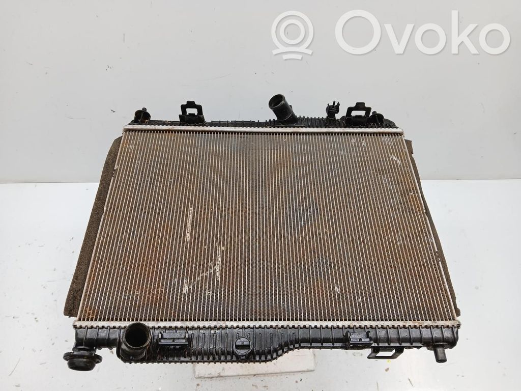 Ford Fiesta Radiator lichid răcire 