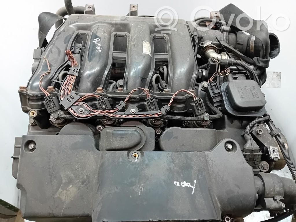 Motor   204D4