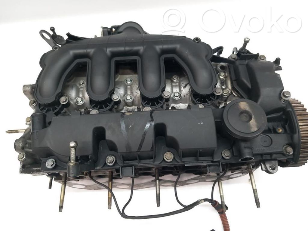 Culata del motor
