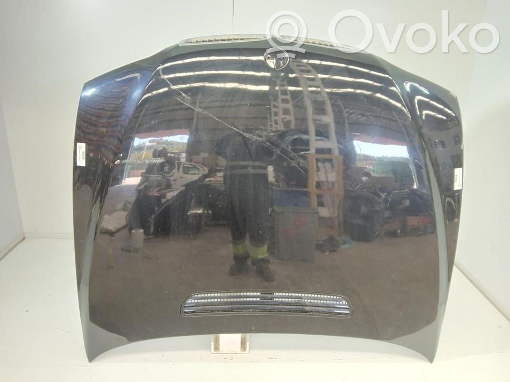 Capó/tapa del motor   41617043239