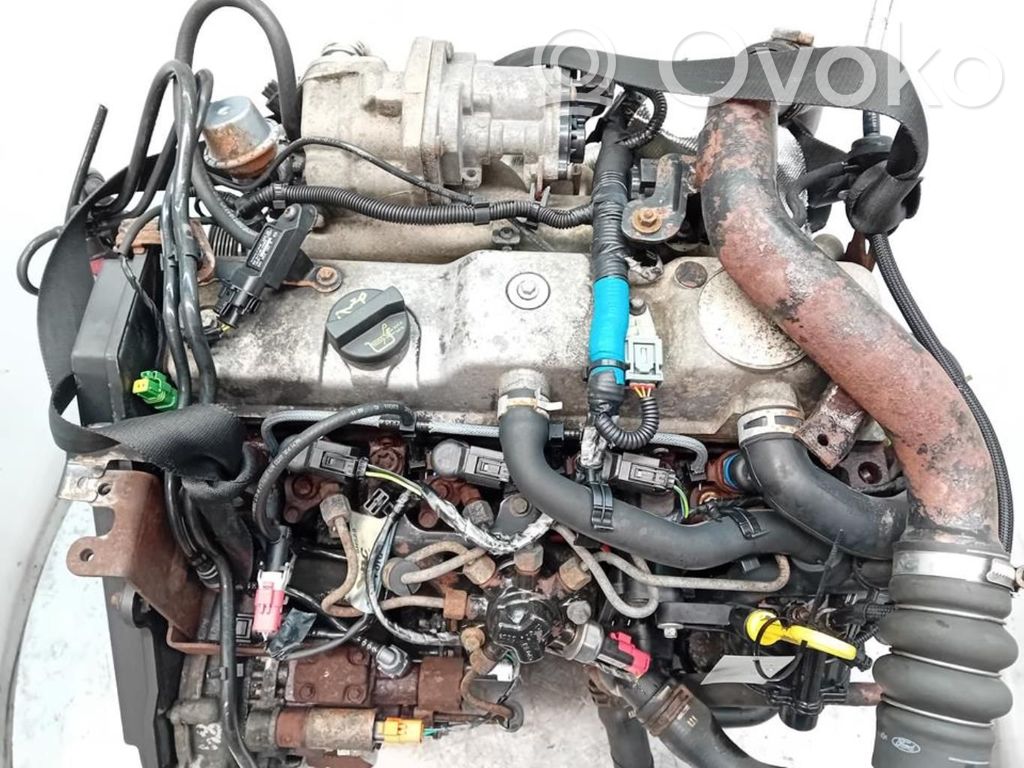 Ford Transit -  Tourneo Connect Motore 