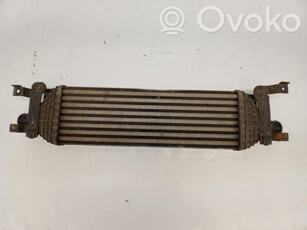 Radiatore intercooler   1359245