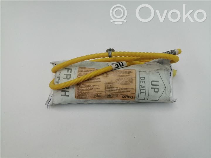 KIA Niro Airbag lateral 
