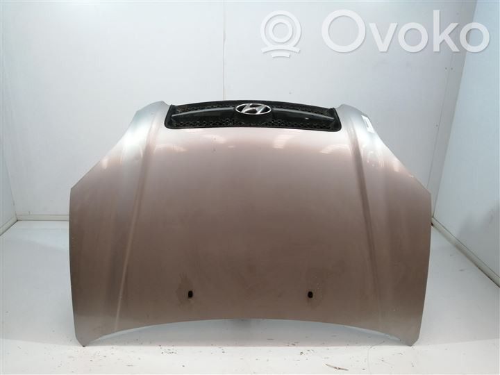 Hyundai Tucson JM Motorhaube