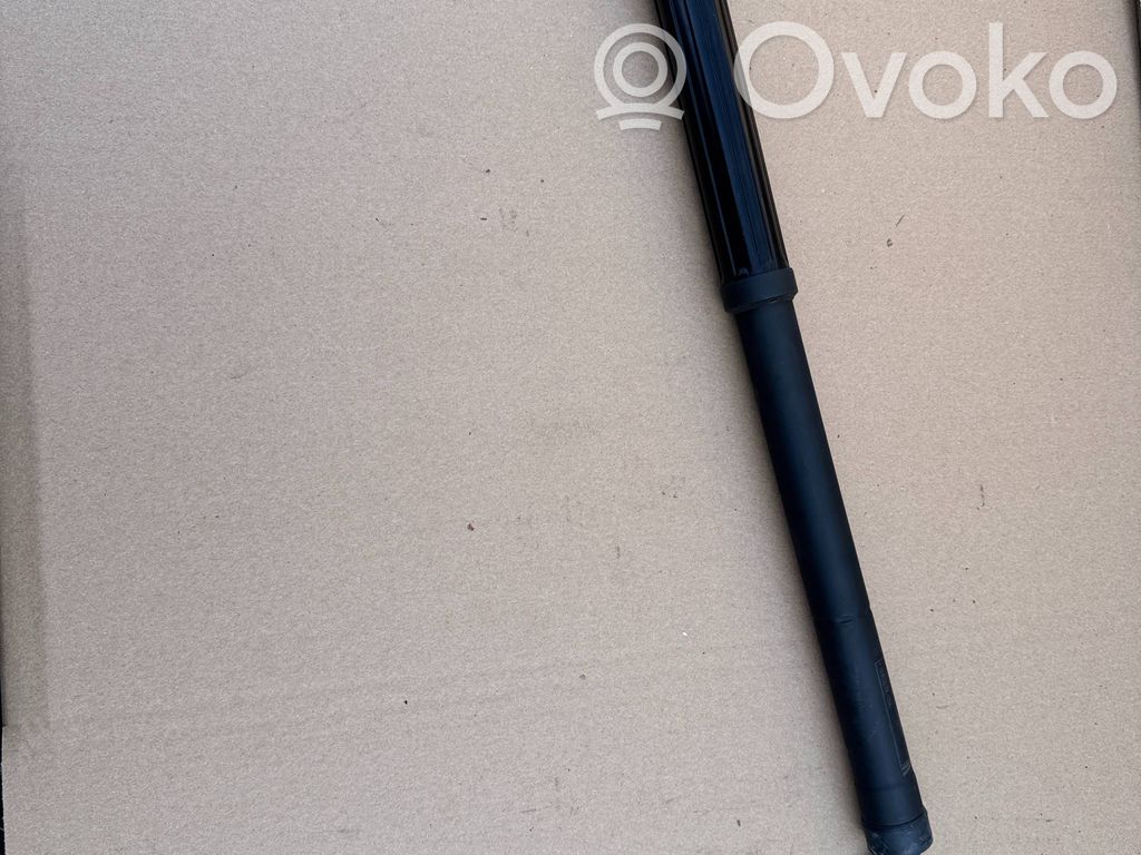 Amortyzator klapy tylnej bagażnika   6891042060,RL31R,0022840389