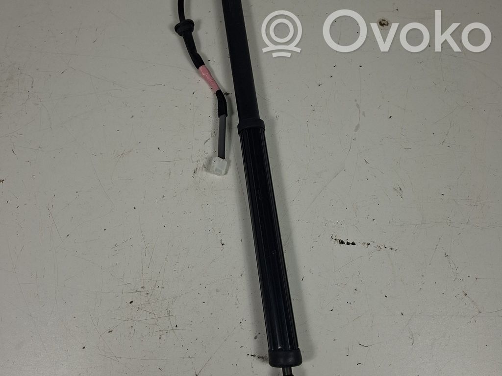 Lexus UX Tailgate/trunk strut/damper 